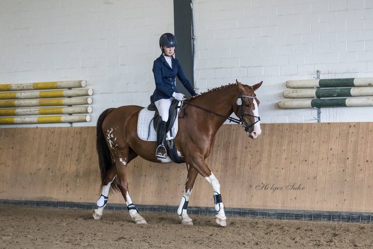 Bild 4 - Pony Akademie Turnier